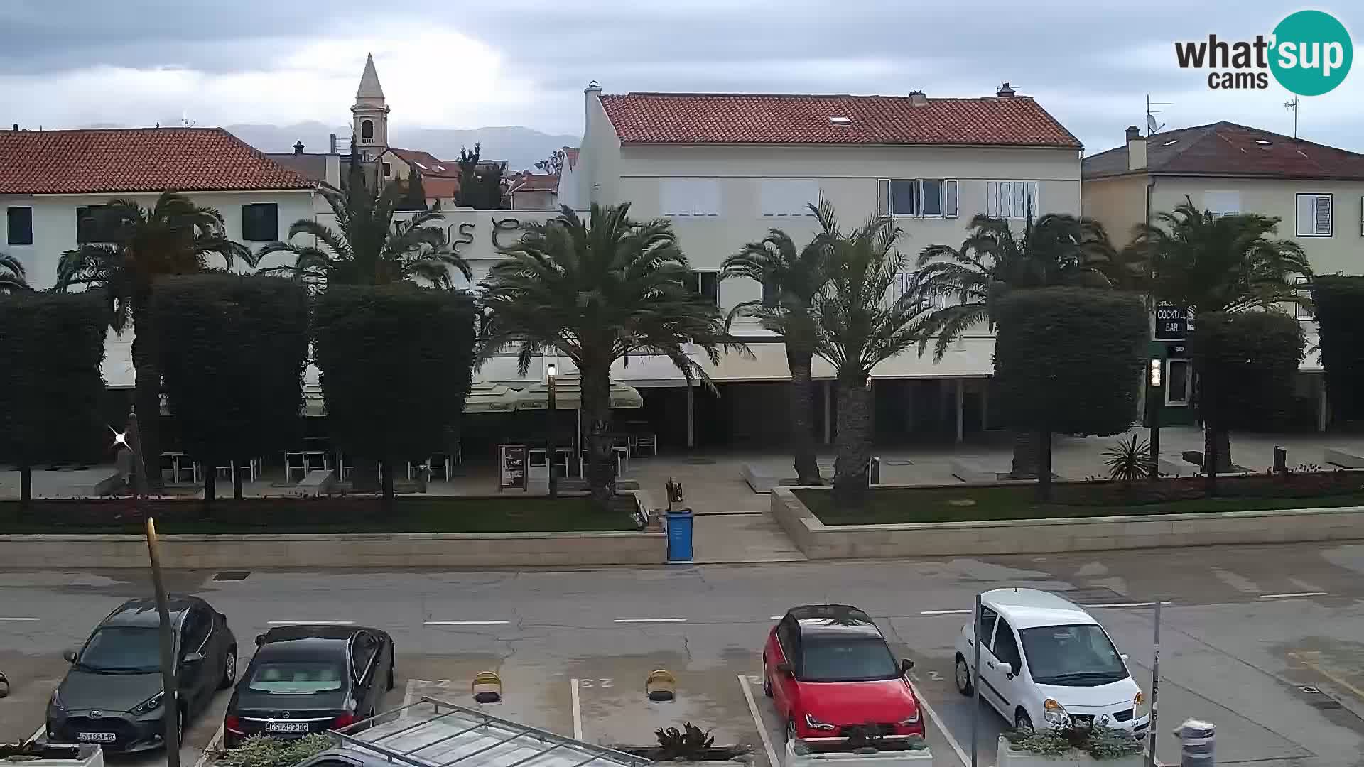 Promenade en Novalia Camera en vivo