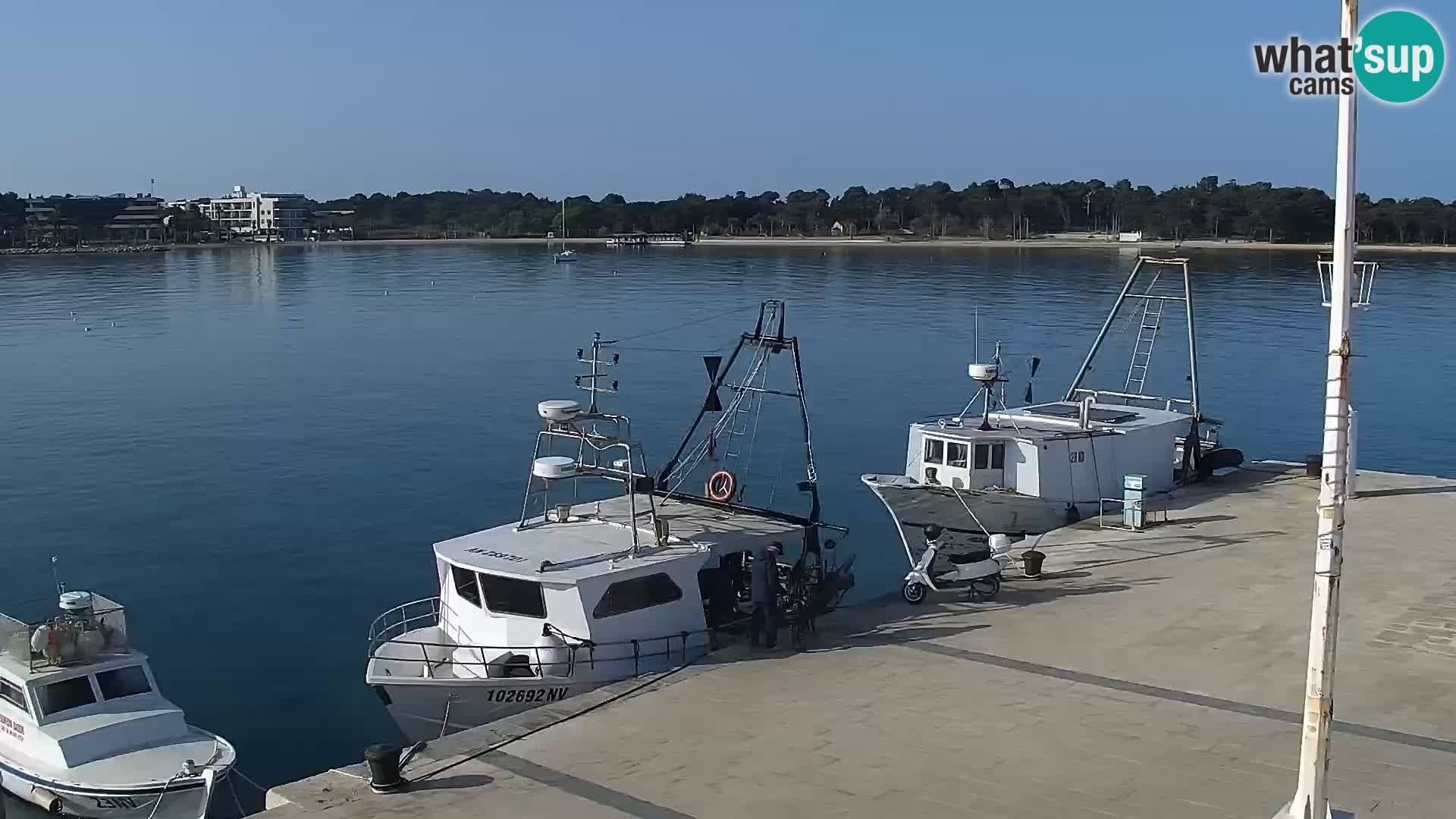 Web kamera Novalja promenada