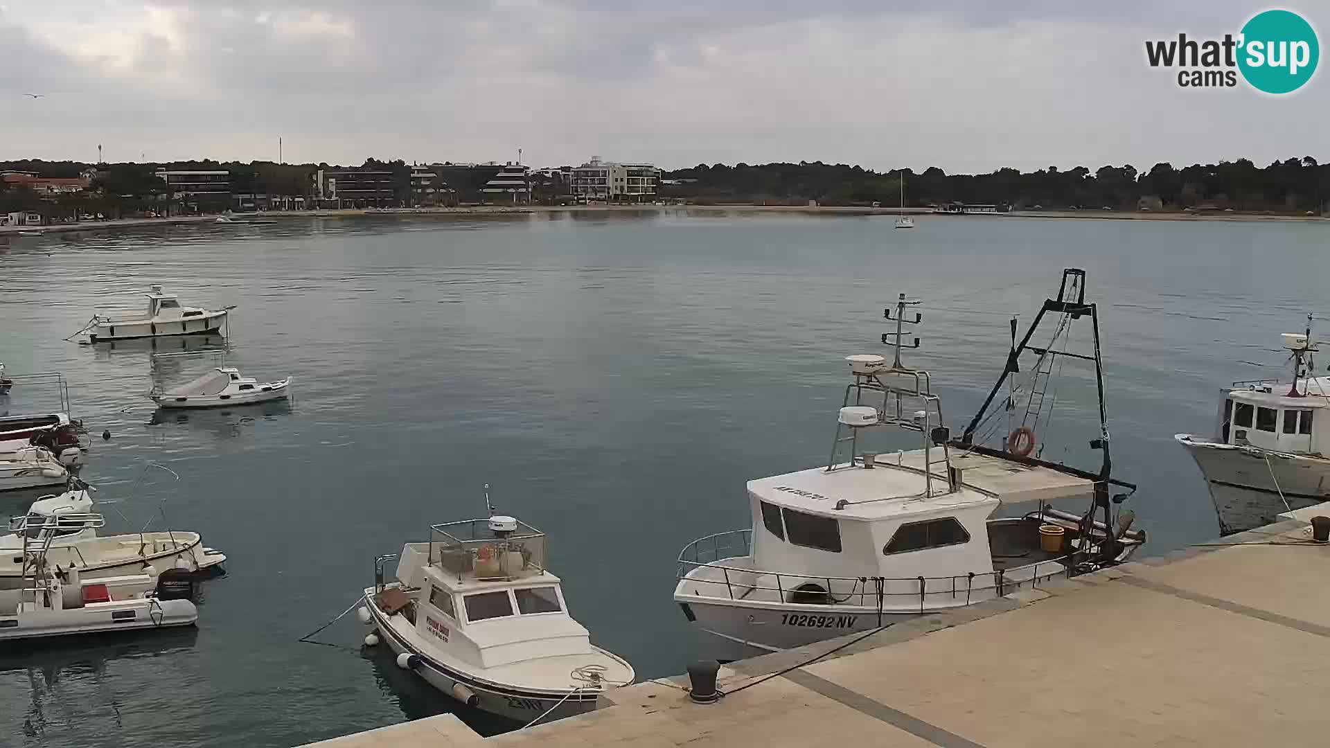 Novalja spletna kamera promenada