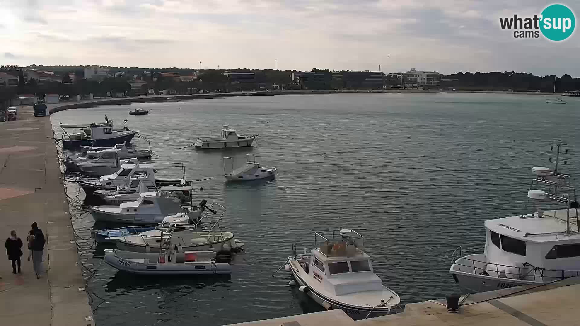 Live webcam Novaglia lungomare
