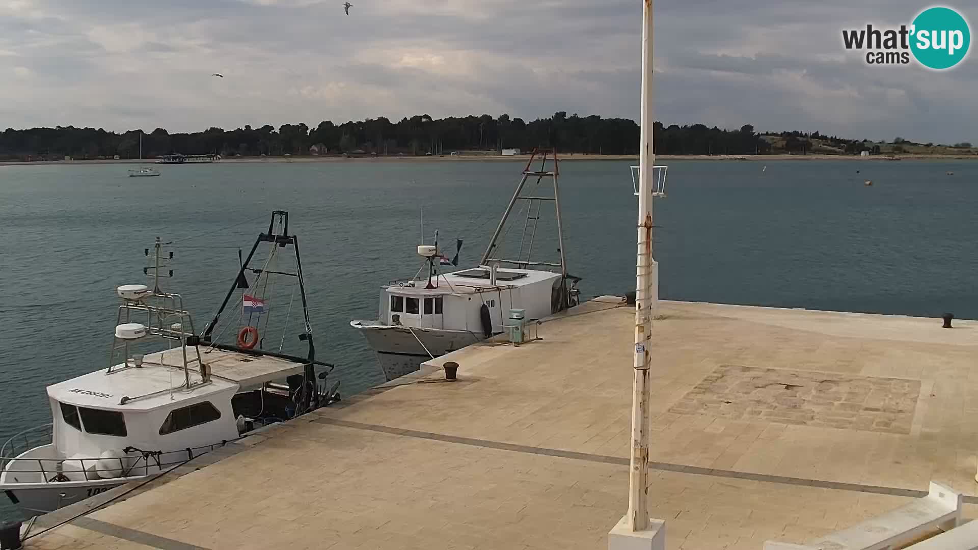 Novalja Livecam promenade