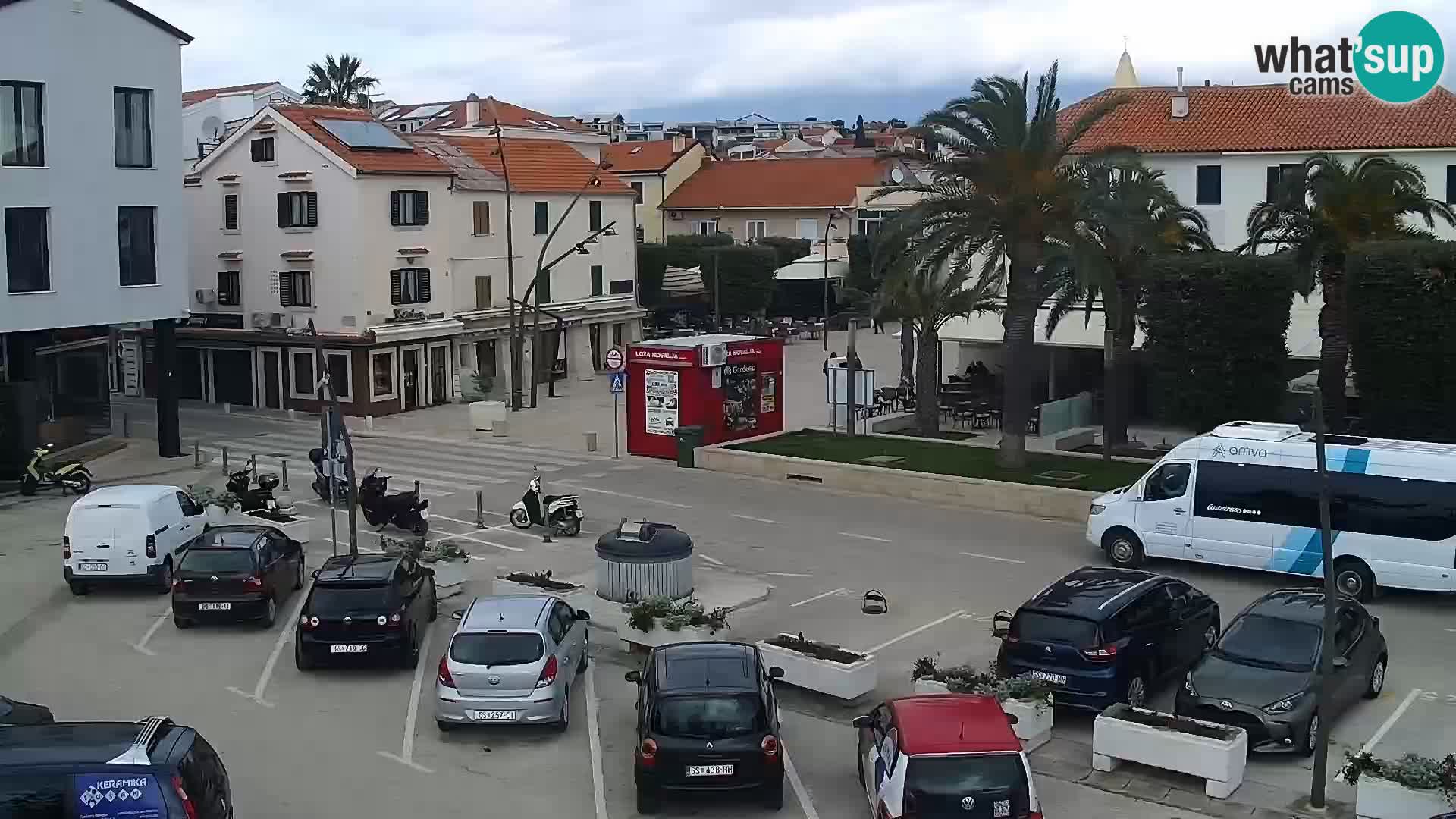 Promenade en Novalia Camera en vivo