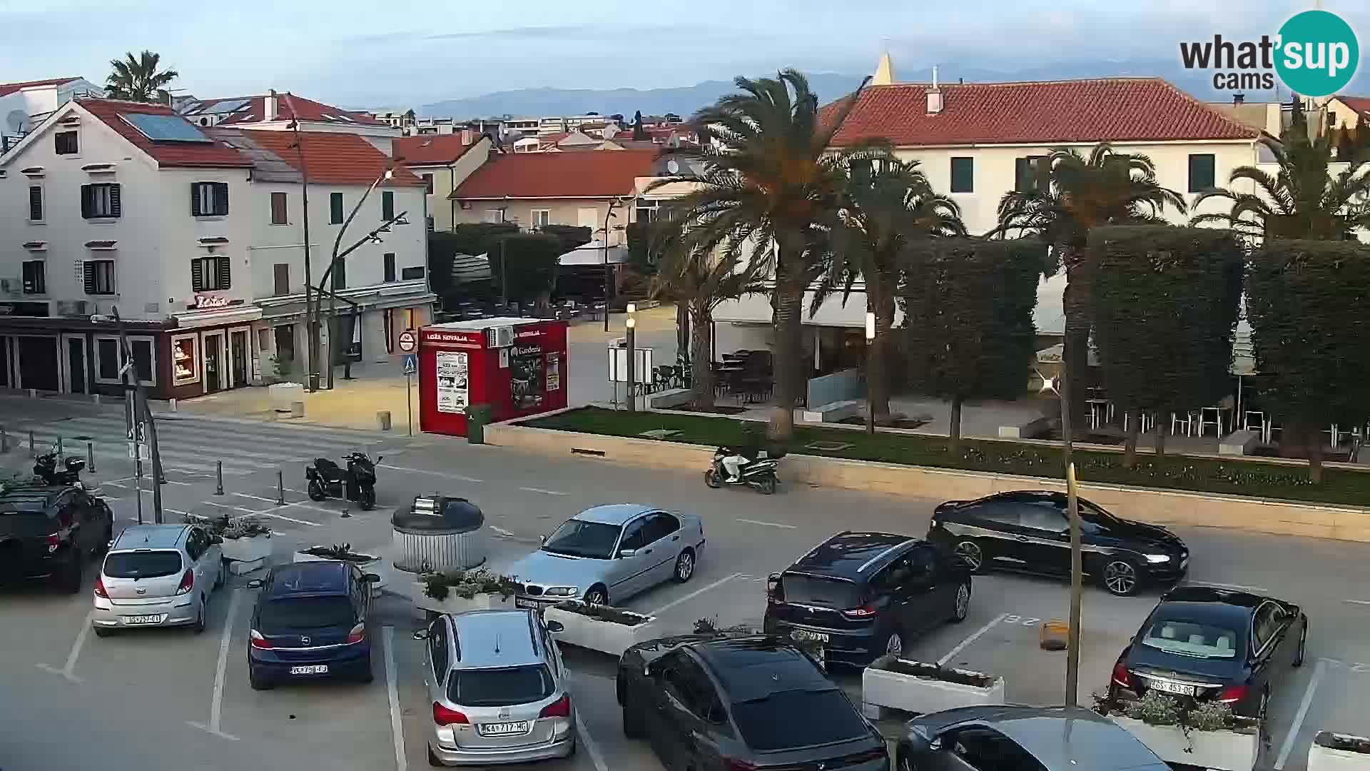 Promenade en Novalia Camera en vivo