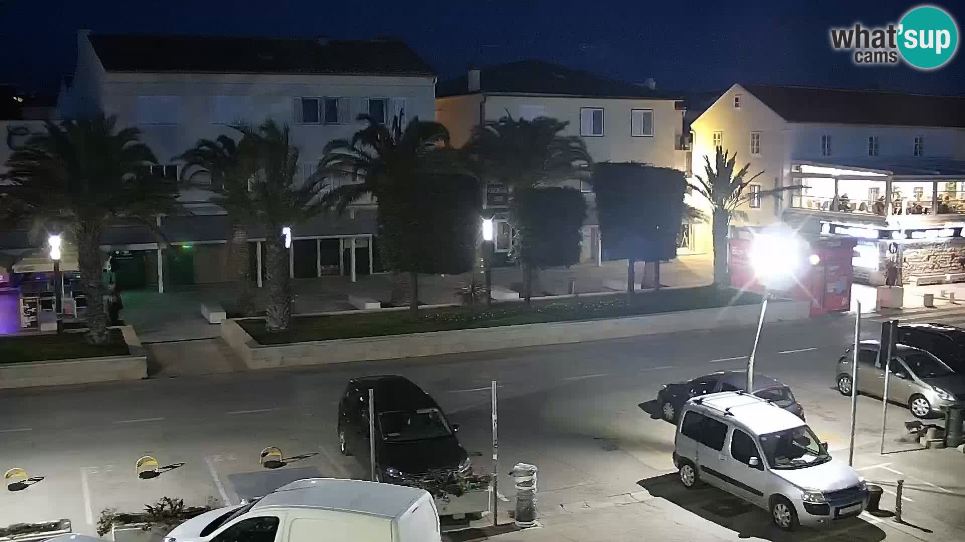 Promenade en Novalia Camera en vivo