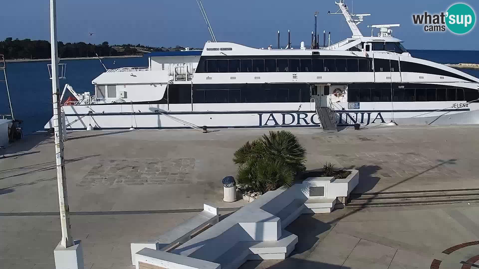Webcam Novalja seaside promenade