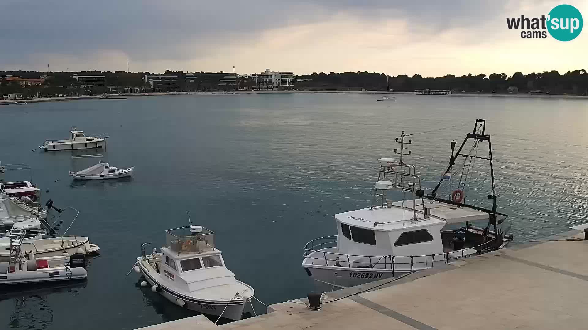 Webcam Novalja seaside promenade