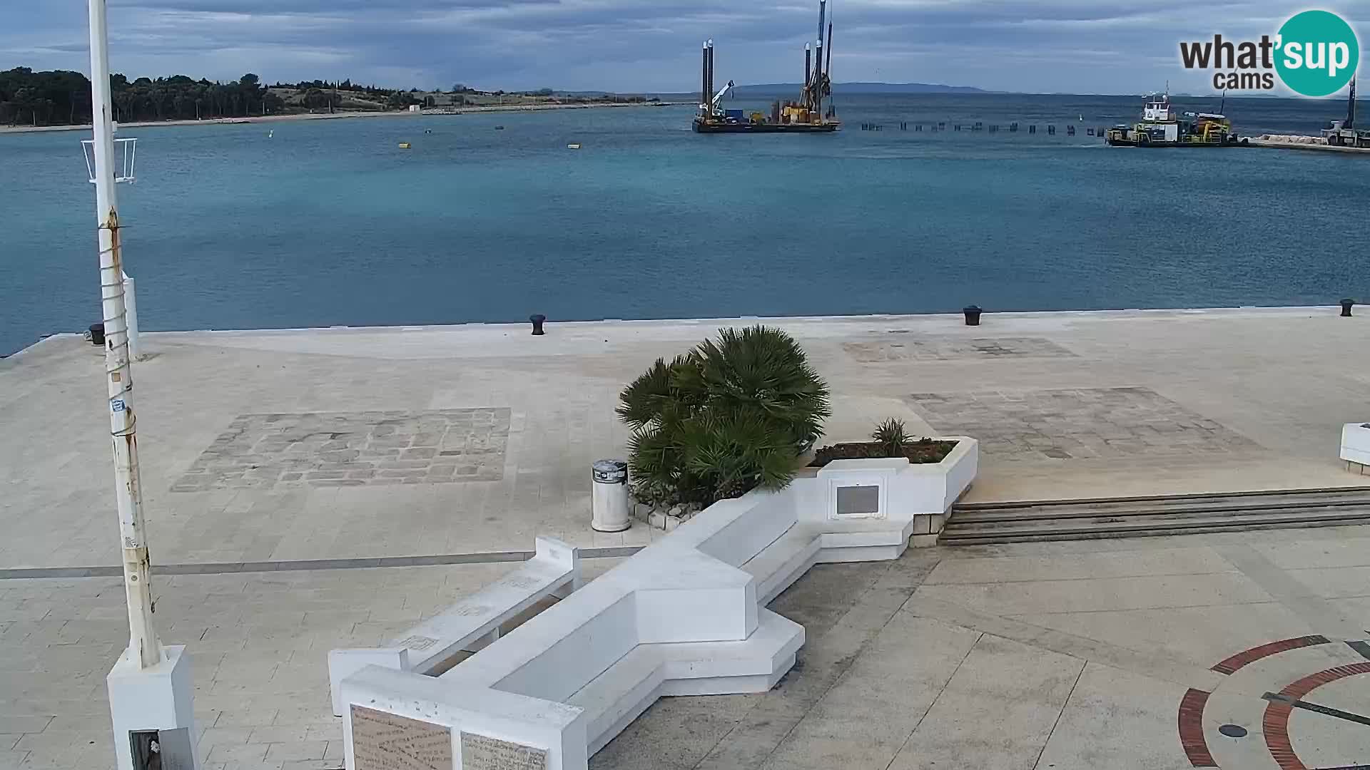 Promenade en Novalia Camera en vivo