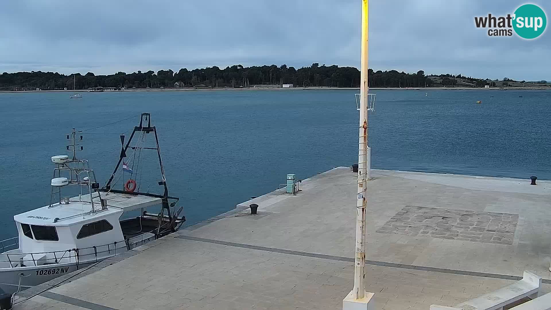 Webcam Novalja seaside promenade