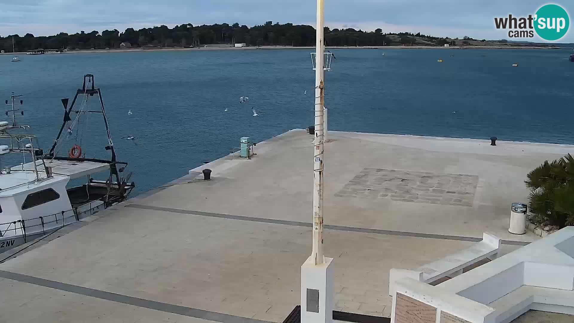Live webcam Novaglia lungomare