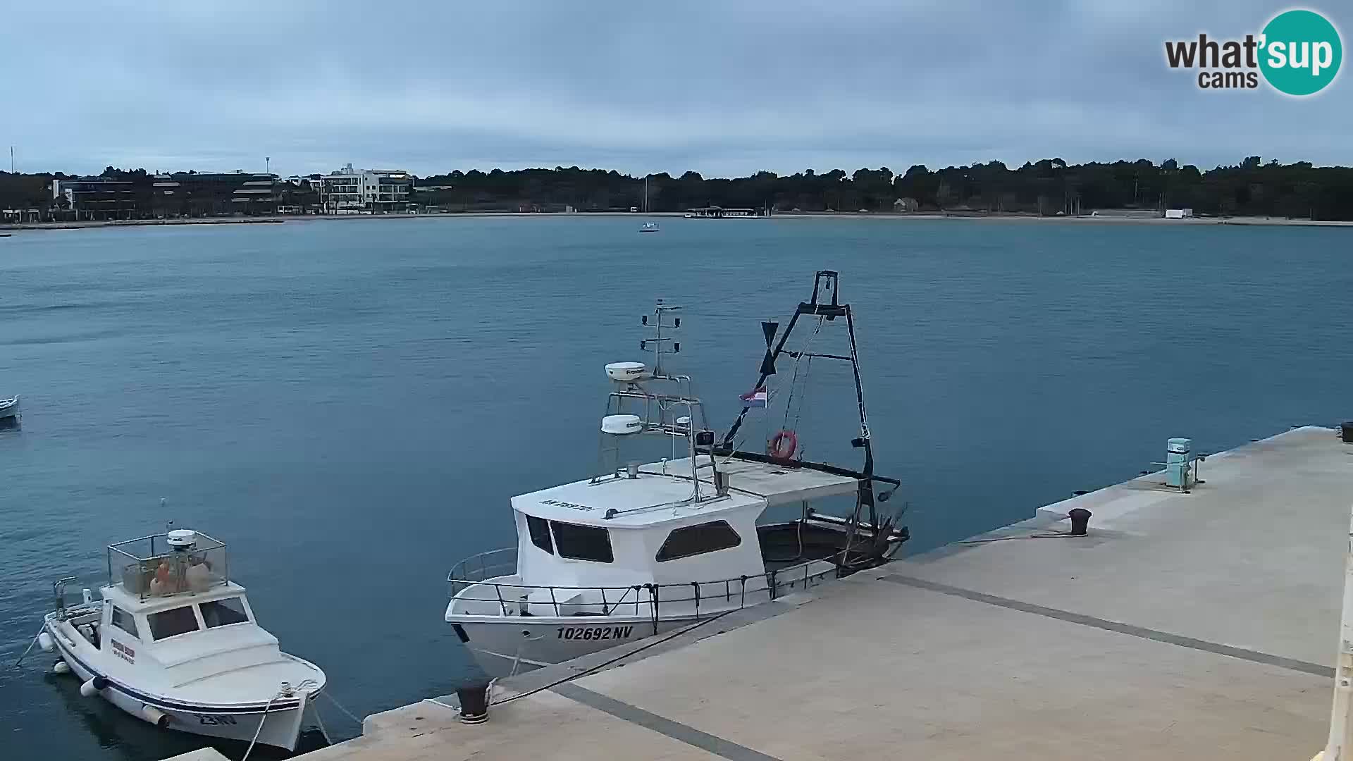 Webcam Novalja seaside promenade