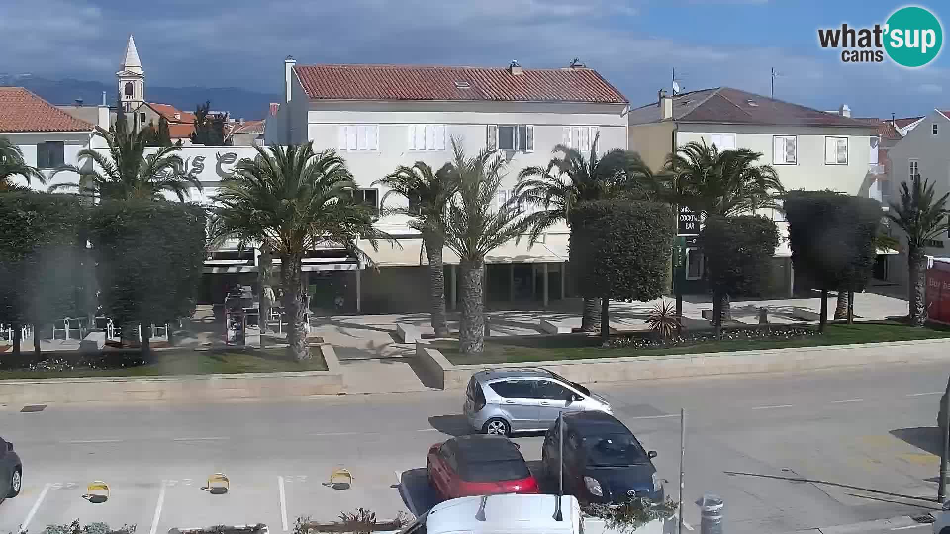 Promenade en Novalia Camera en vivo