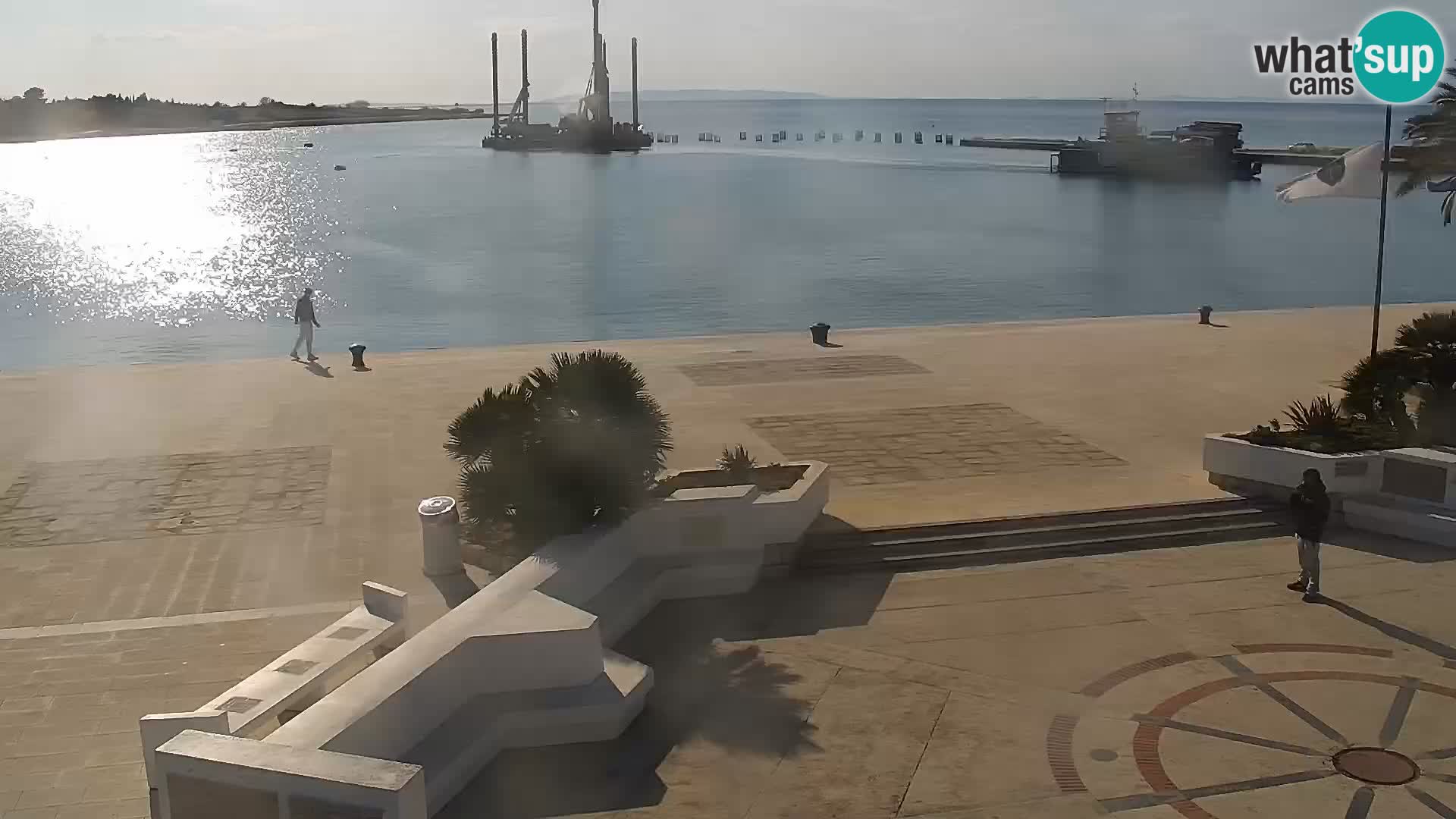 Promenade en Novalia Camera en vivo