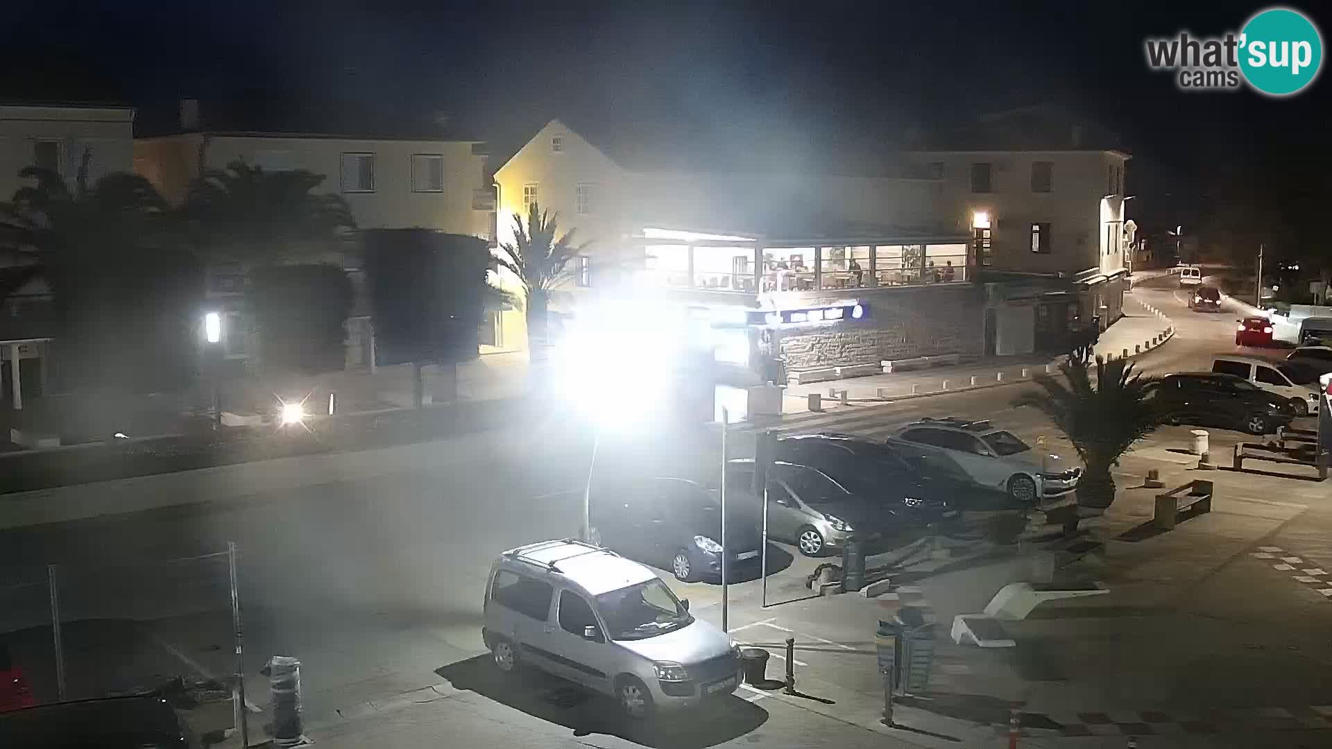 Promenade en Novalia Camera en vivo