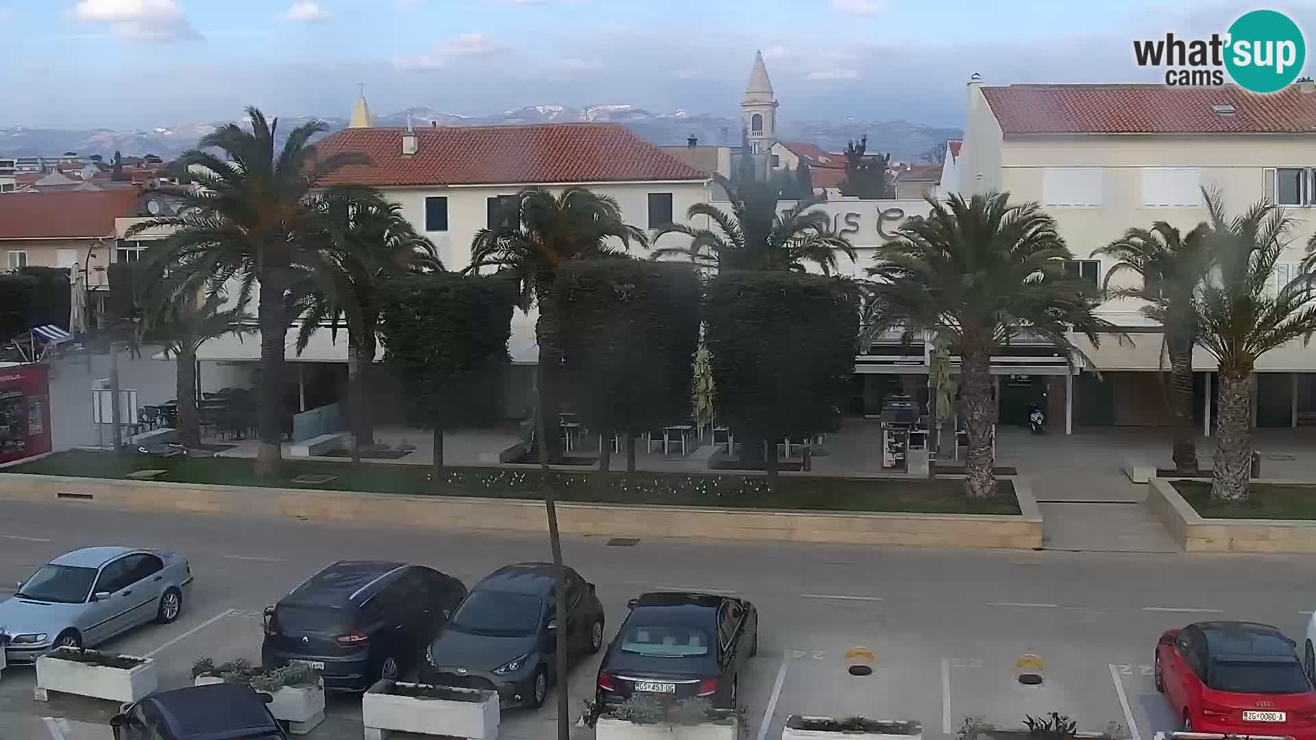 Promenade en Novalia Camera en vivo