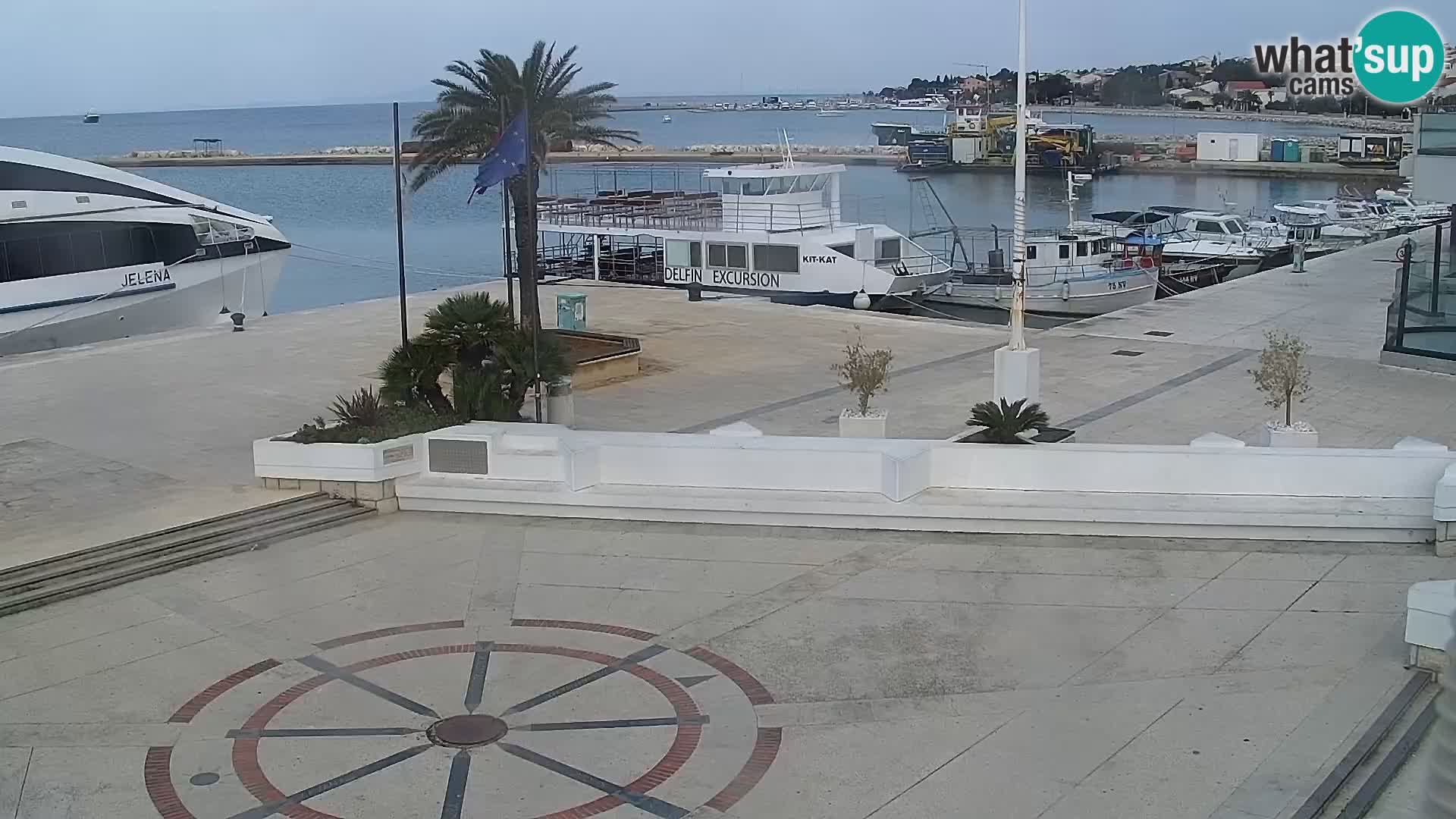 Promenade en Novalia Camera en vivo