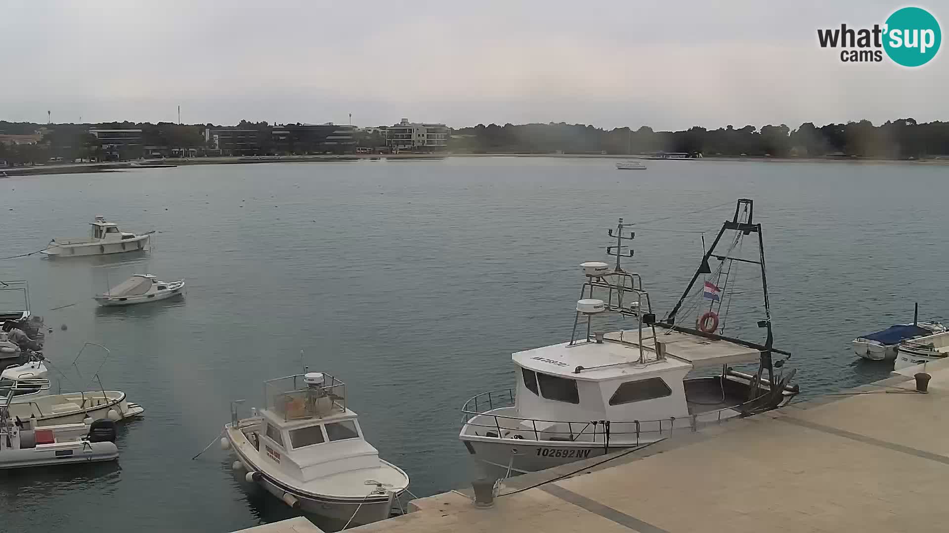 Webcam Novalja seaside promenade