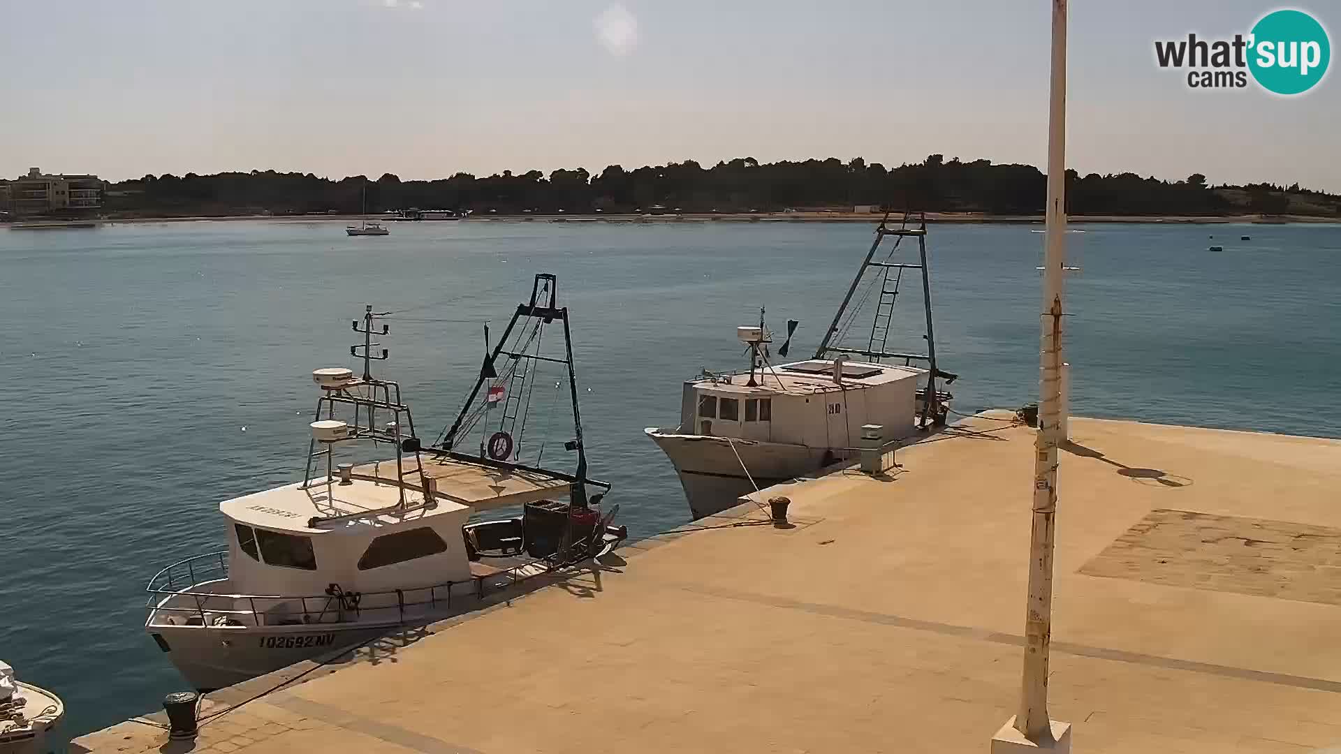 Webcam Novalja seaside promenade