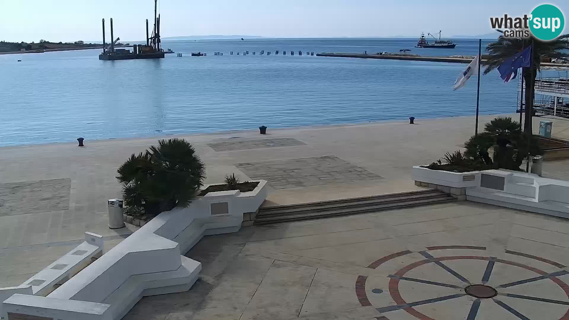 Promenade en Novalia Camera en vivo