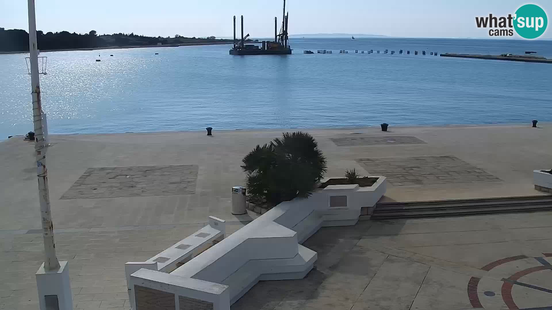 Promenade en Novalia Camera en vivo