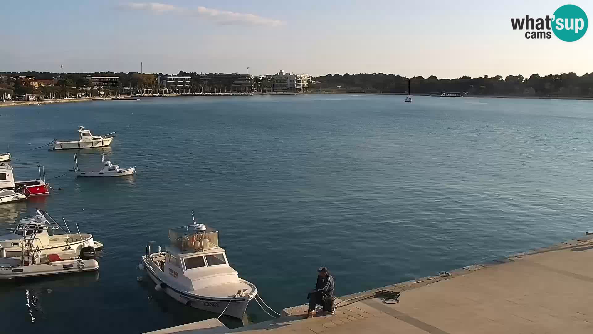 Novalja Livecam promenade