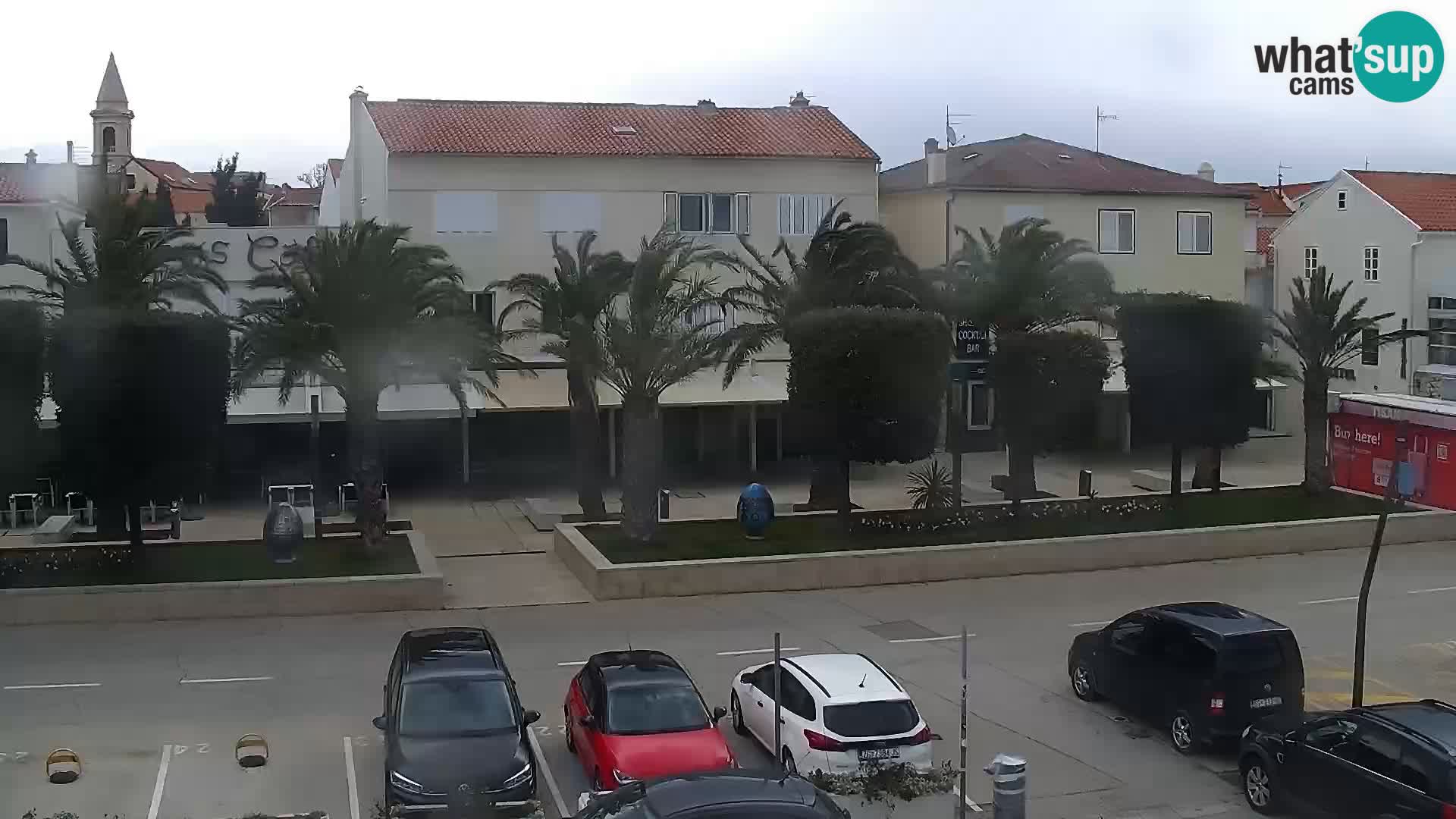 Promenade en Novalia Camera en vivo