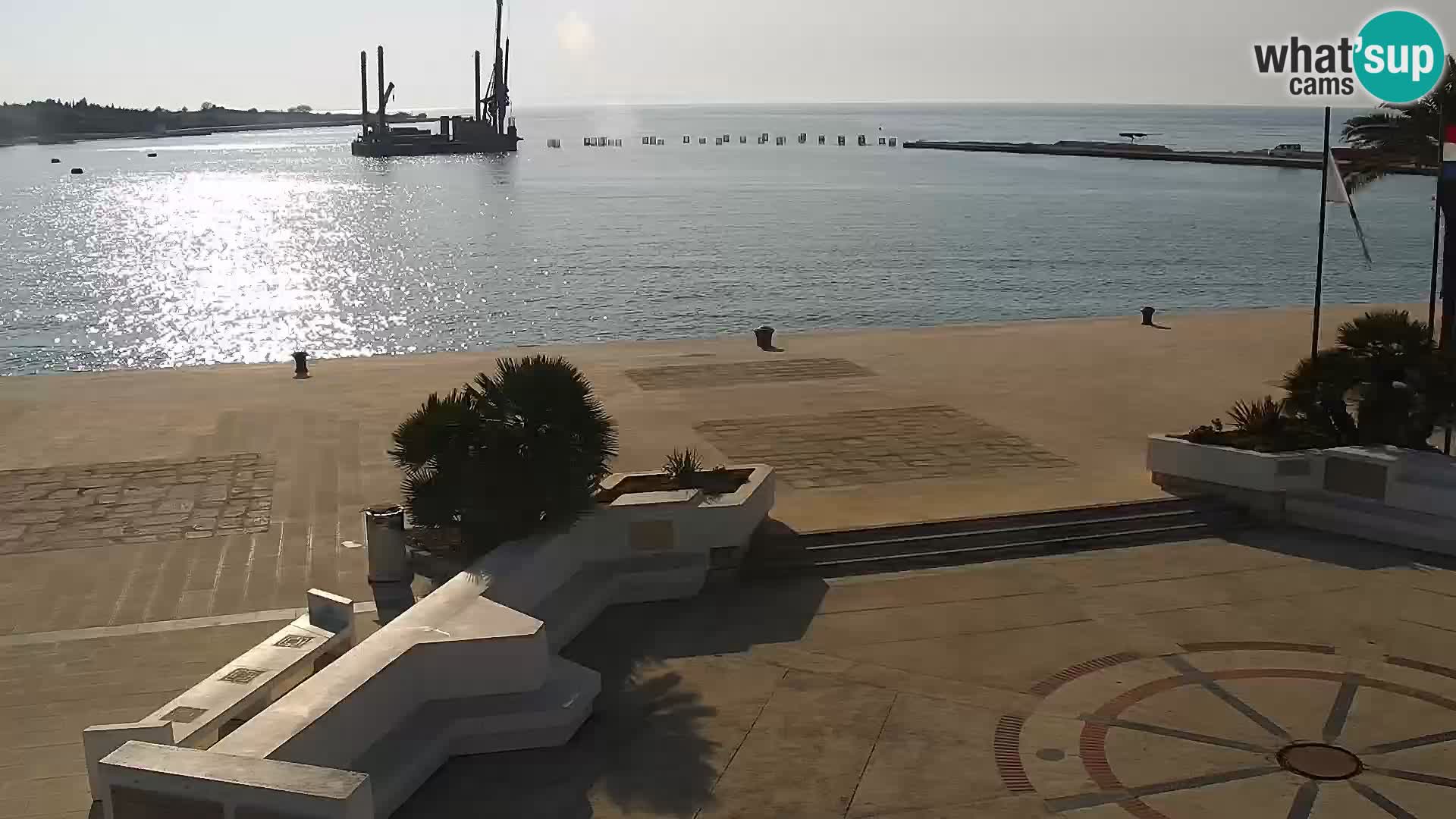 Promenade en Novalia Camera en vivo