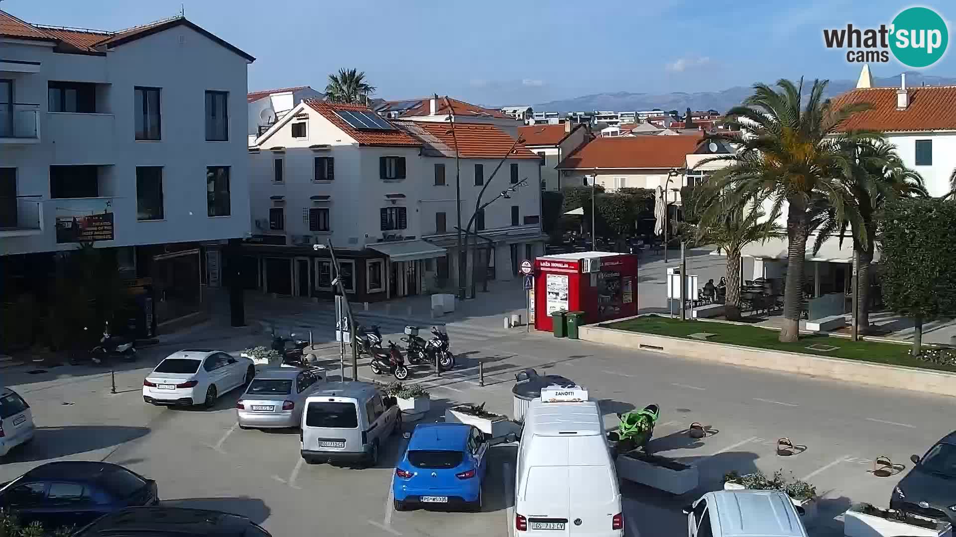 Promenade en Novalia Camera en vivo