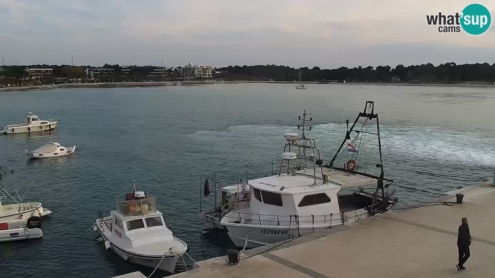 Webcam Novalja seaside promenade