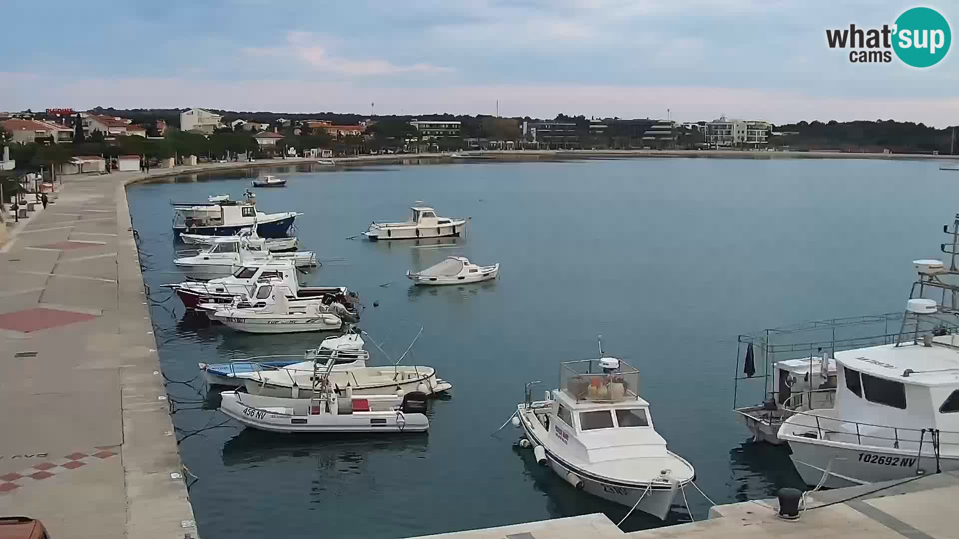 Live webcam Novaglia lungomare