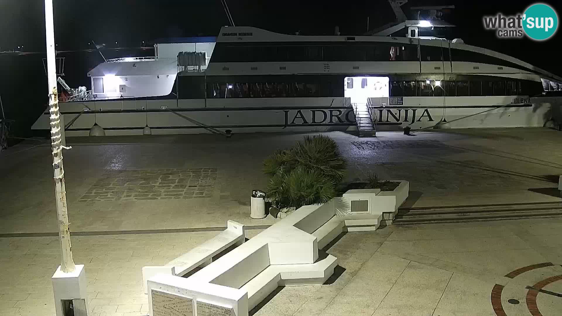 Promenade en Novalia Camera en vivo