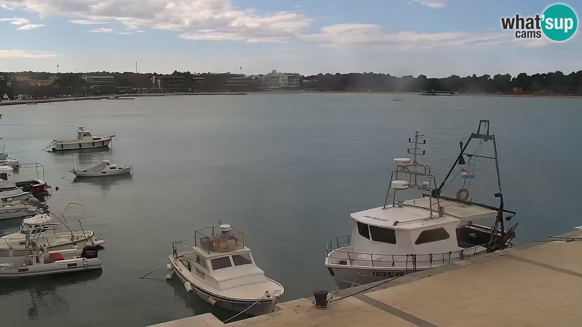 Promenade en Novalia Camera en vivo