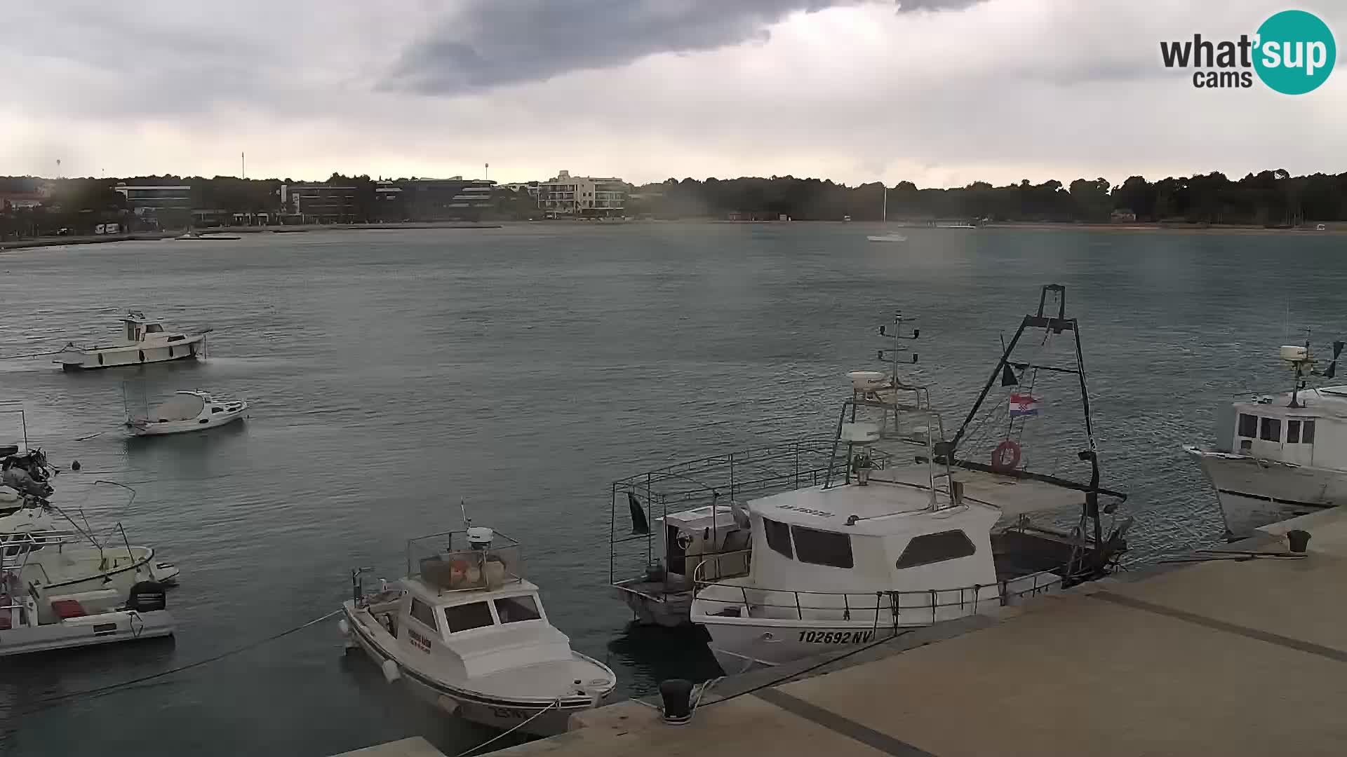 Novalja Livecam promenade