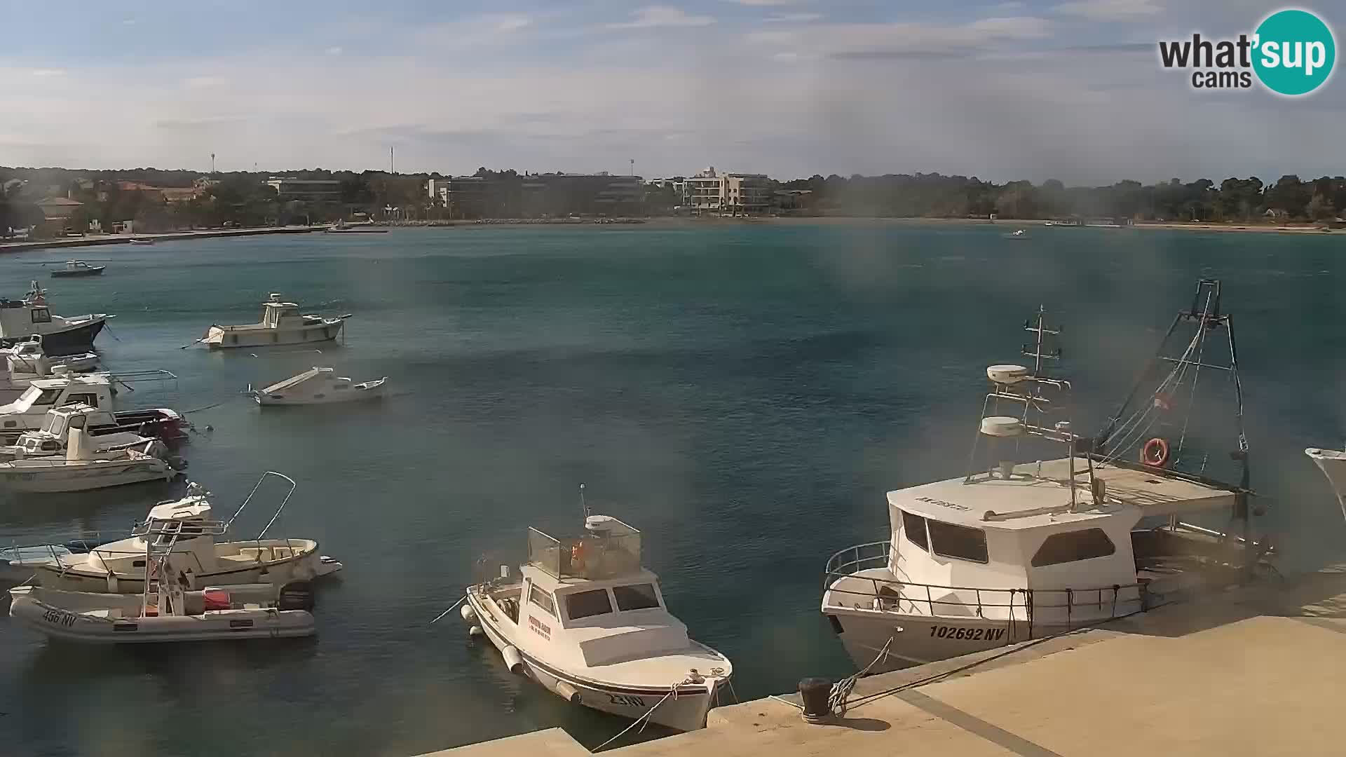 Promenade en Novalia Camera en vivo