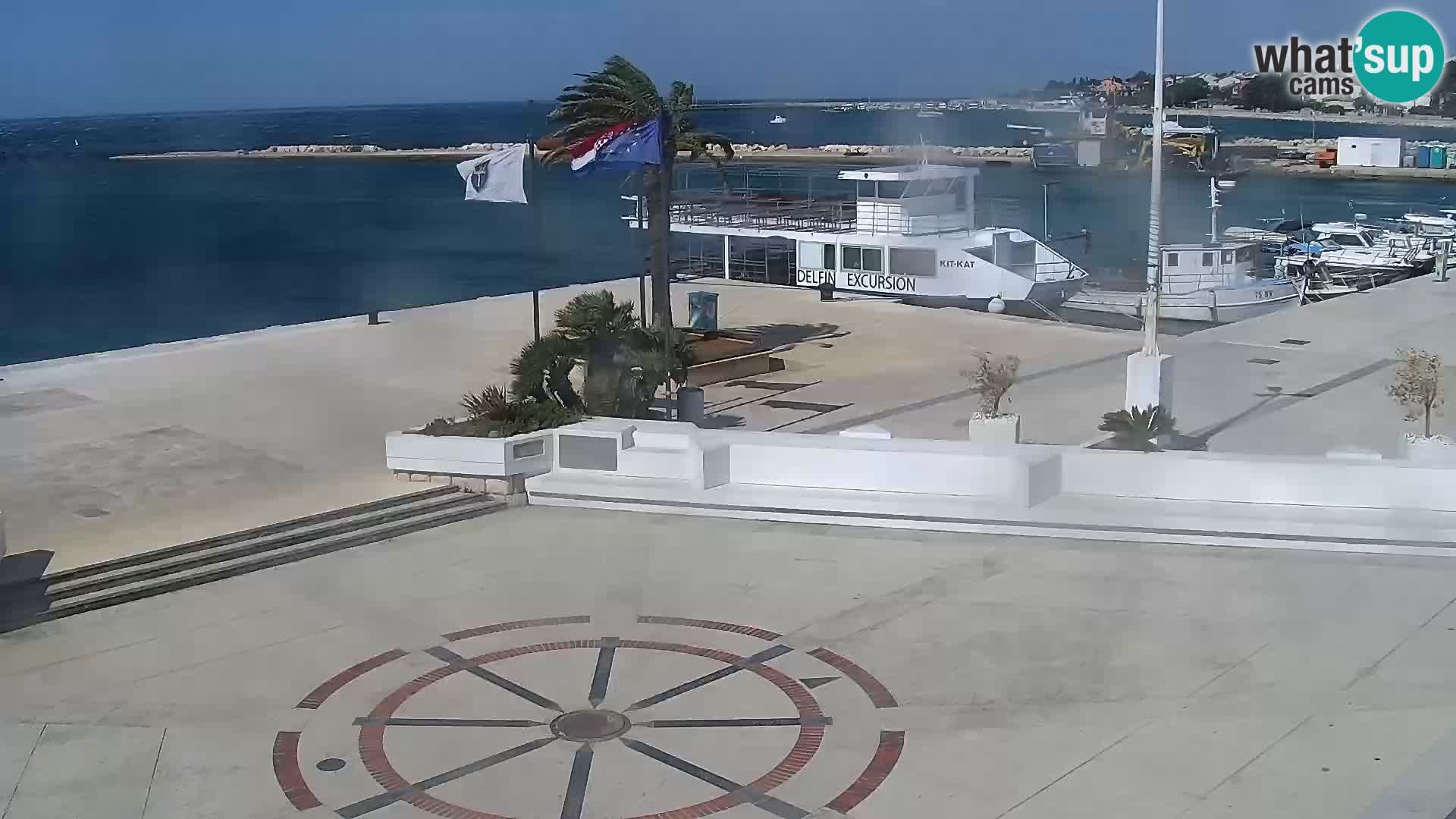 Promenade en Novalia Camera en vivo