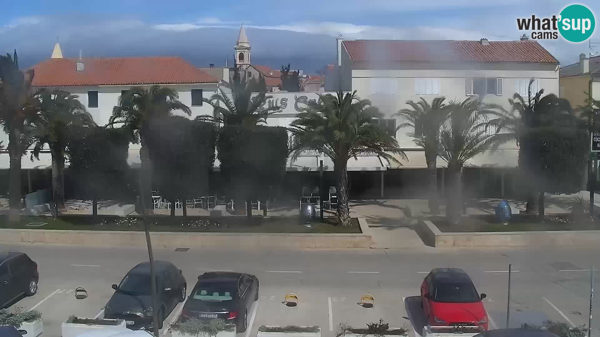 Promenade en Novalia Camera en vivo