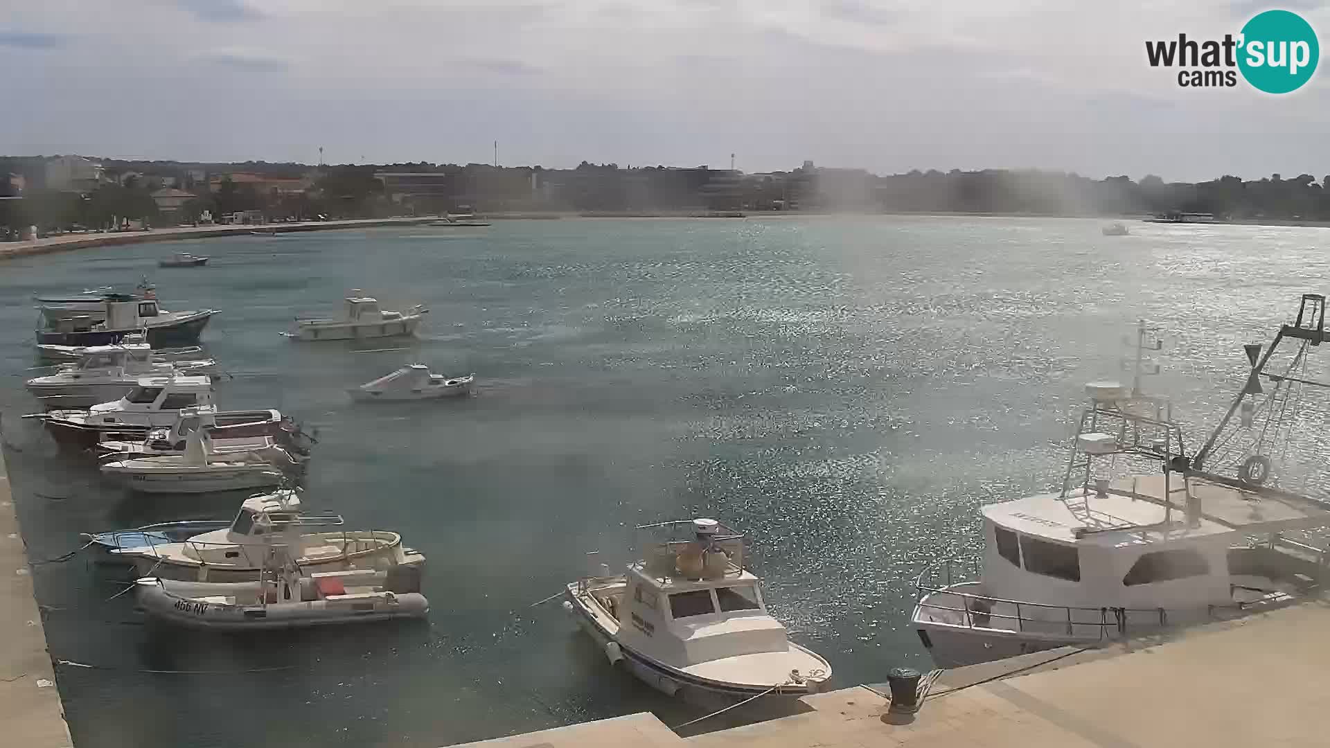 Promenade en Novalia Camera en vivo