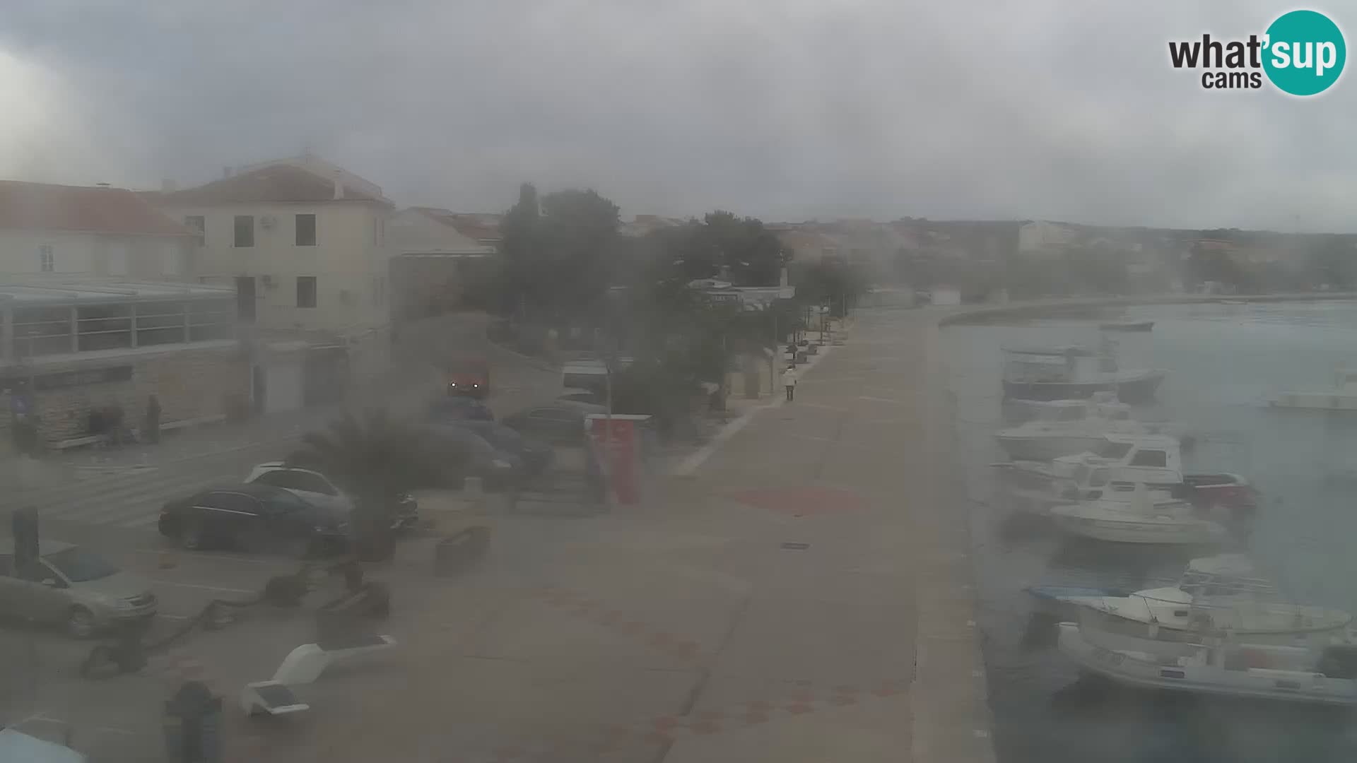 Promenade en Novalia Camera en vivo