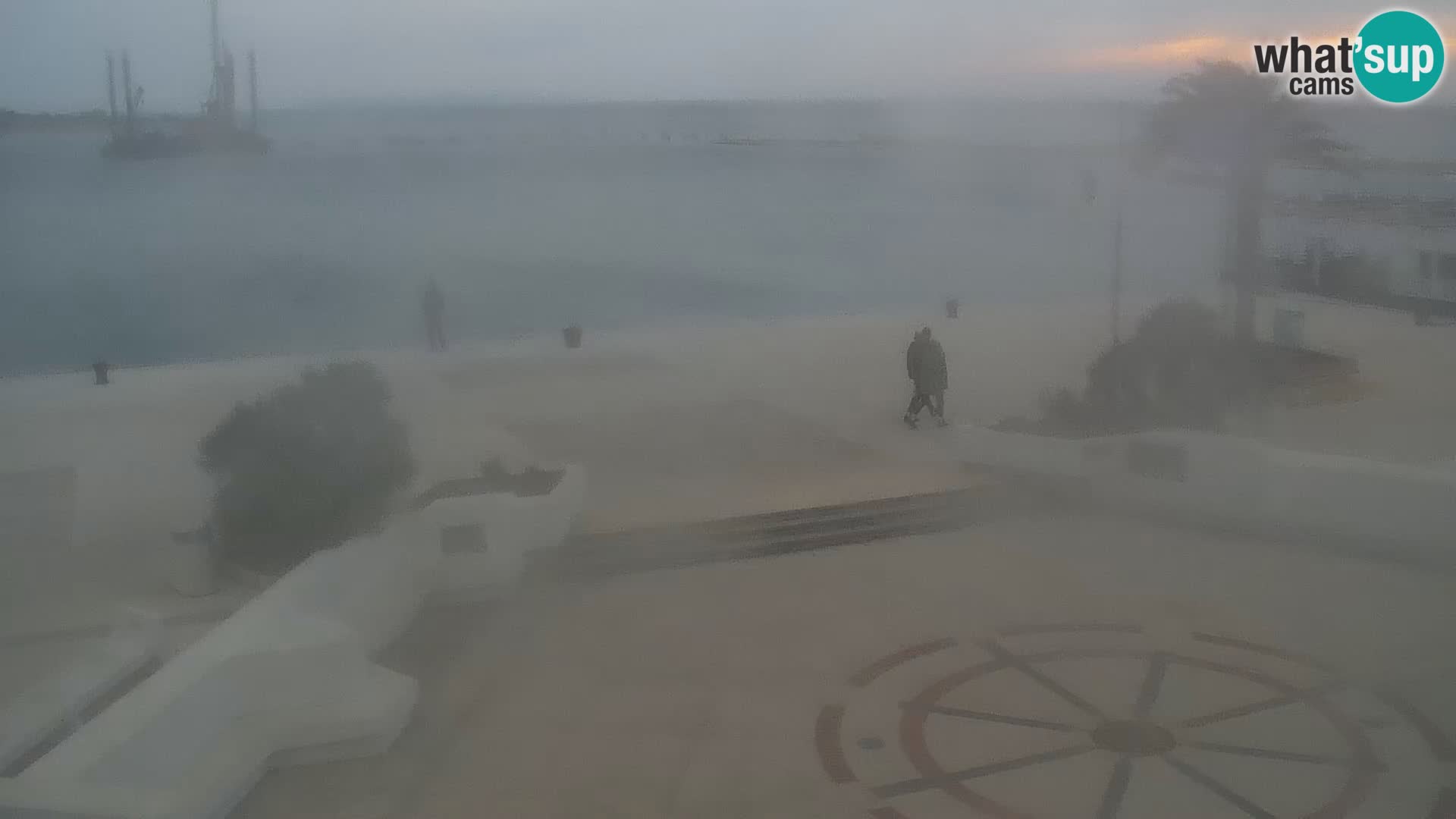 Promenade en Novalia Camera en vivo