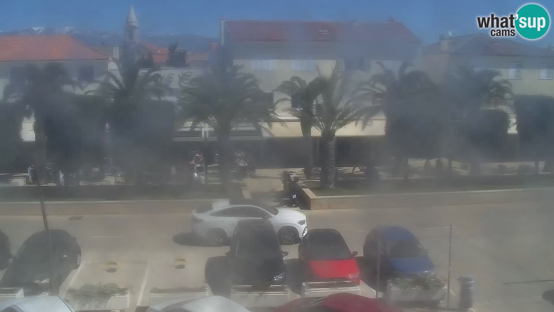 Promenade en Novalia Camera en vivo