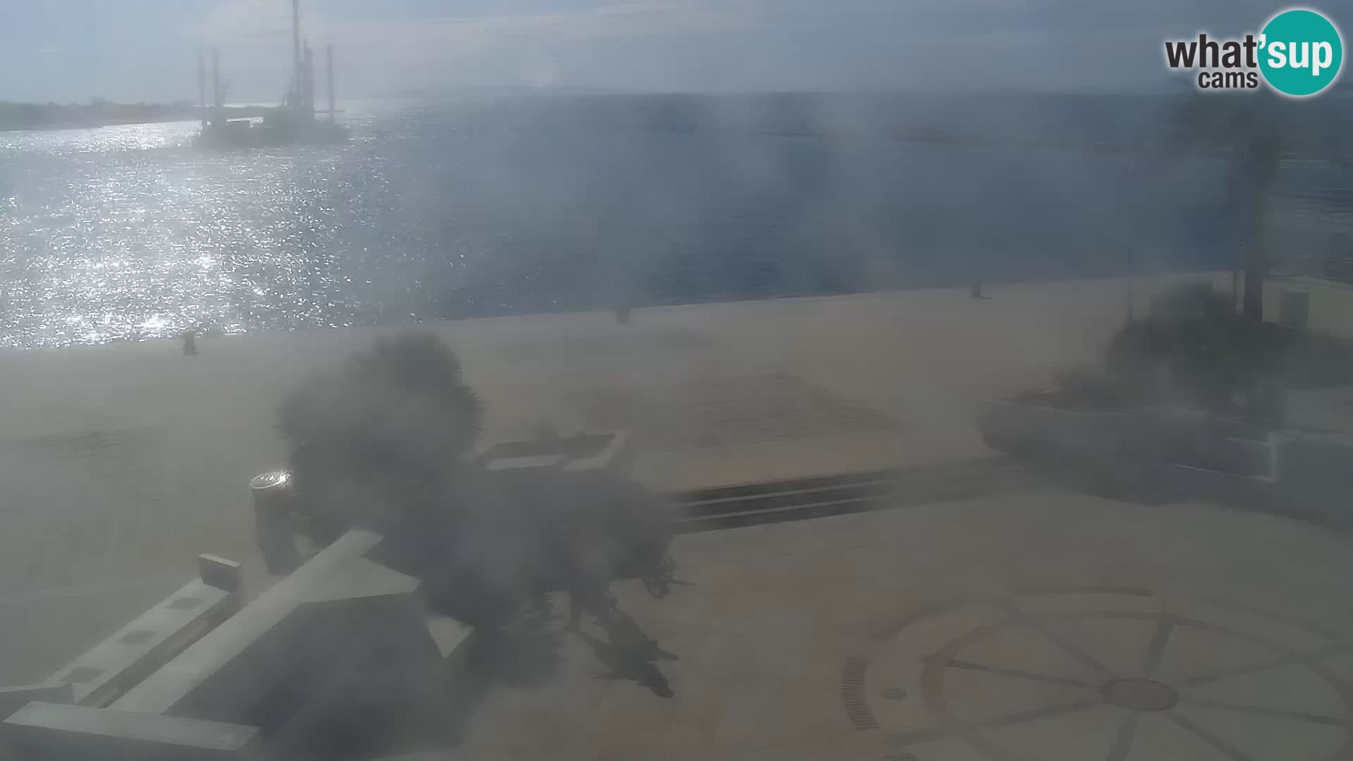 Promenade en Novalia Camera en vivo