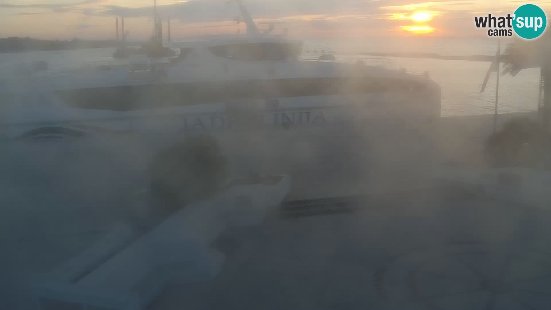 Promenade en Novalia Camera en vivo