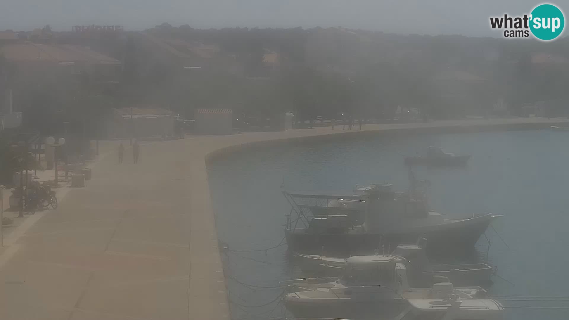 Promenade en Novalia Camera en vivo