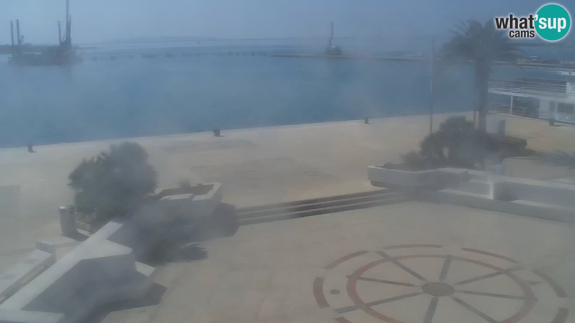 Promenade en Novalia Camera en vivo