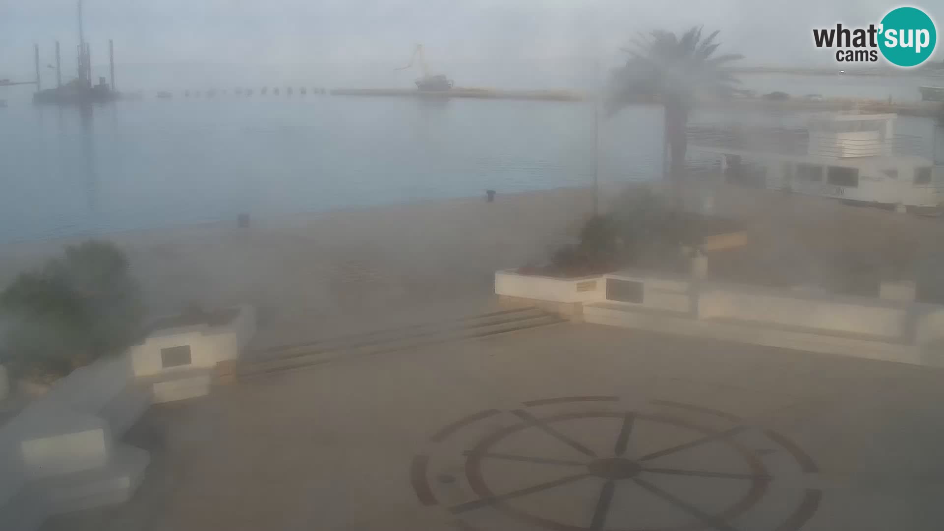 Promenade en Novalia Camera en vivo