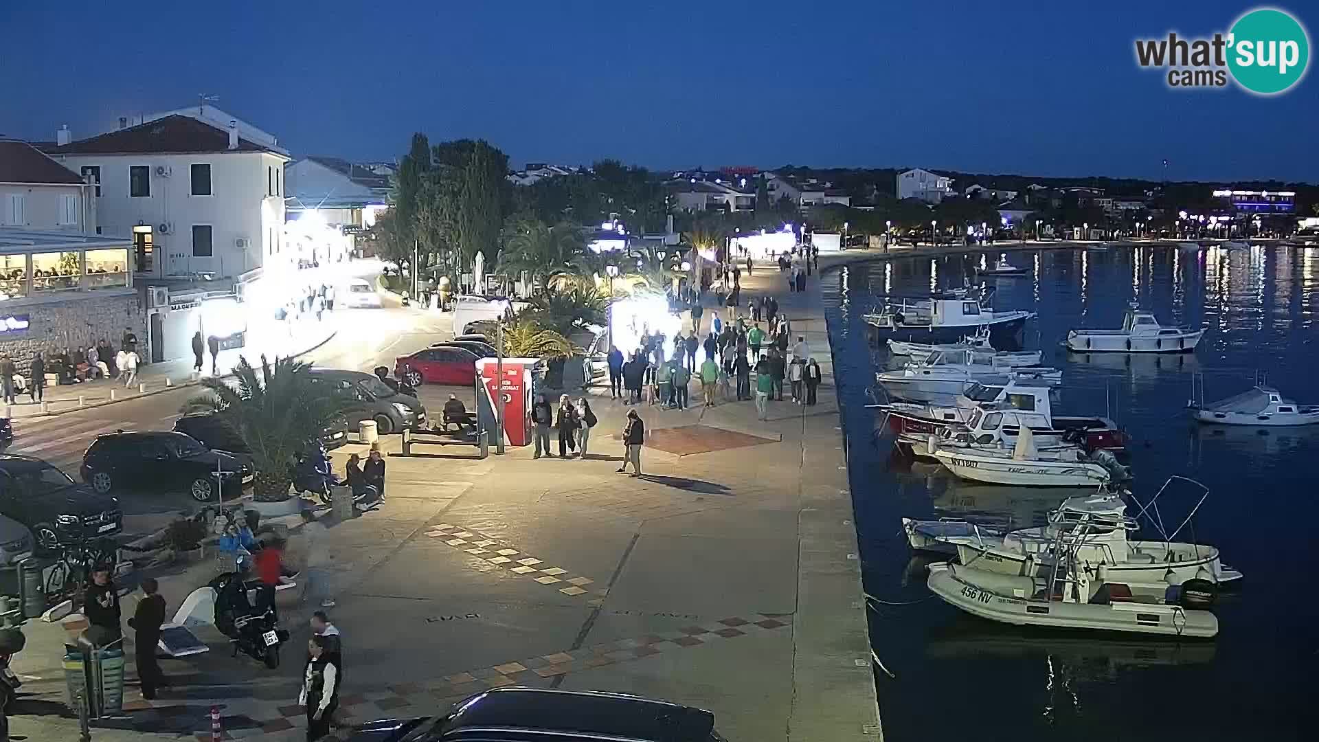 Promenade en Novalia Camera en vivo
