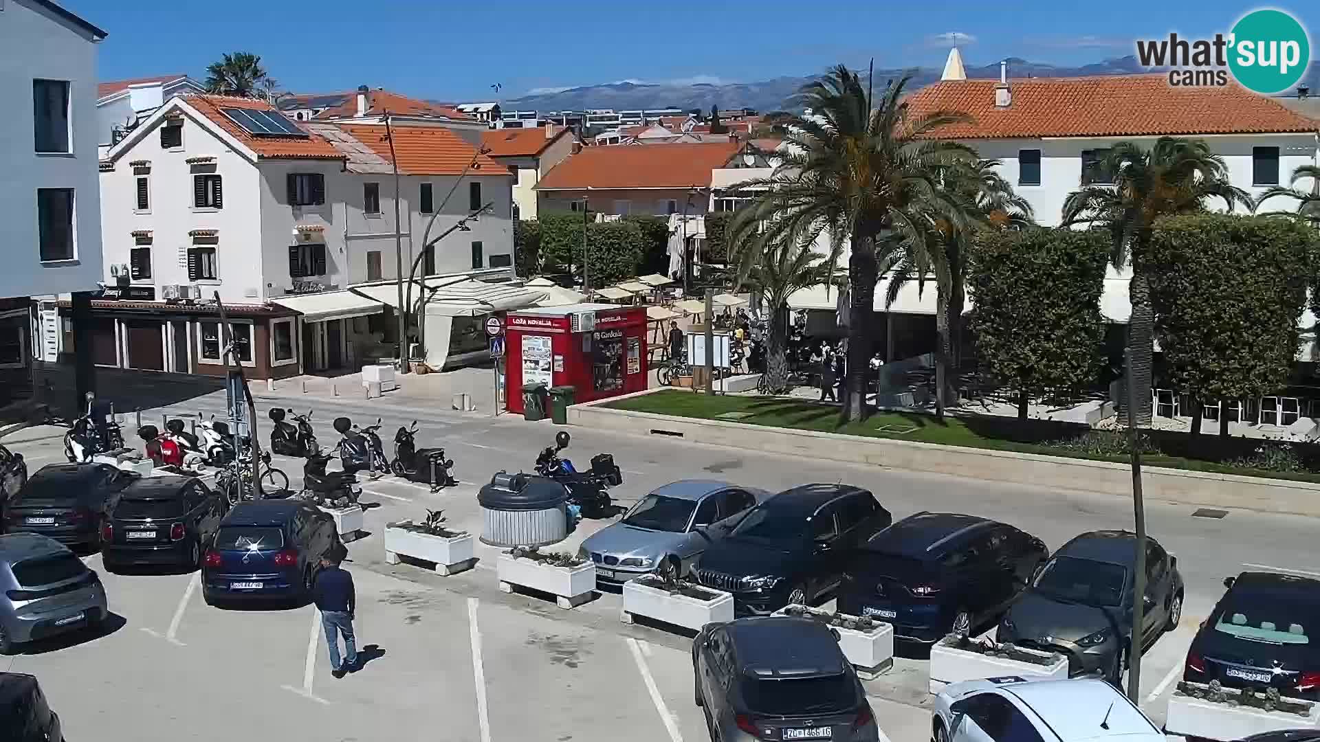 Promenade en Novalia Camera en vivo