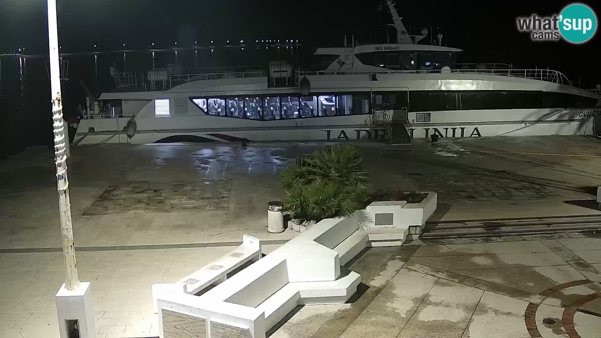 Promenade en Novalia Camera en vivo