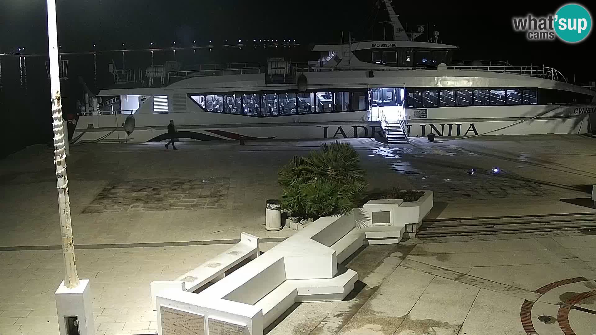 Promenade en Novalia Camera en vivo