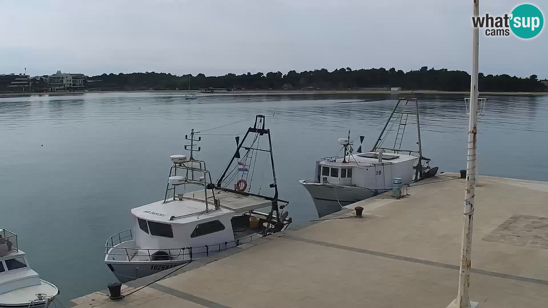 Novalja Livecam promenade