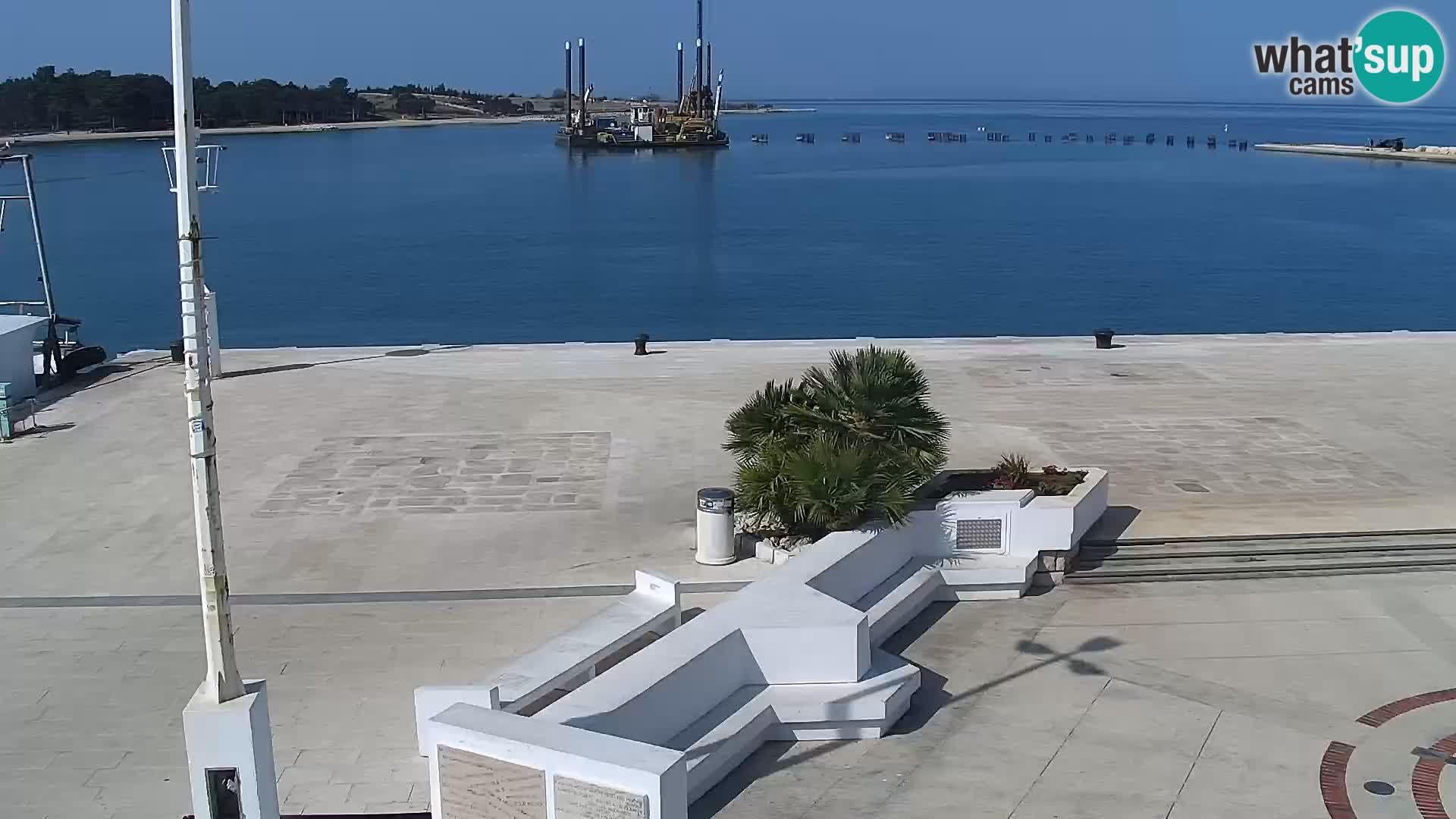 Promenade en Novalia Camera en vivo